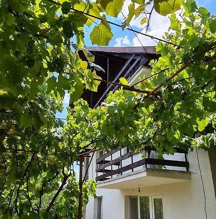 Cazare Vila Maria Apartment Curtea De Arges Luaran gambar