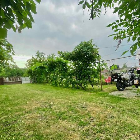 Cazare Vila Maria Apartment Curtea De Arges Luaran gambar