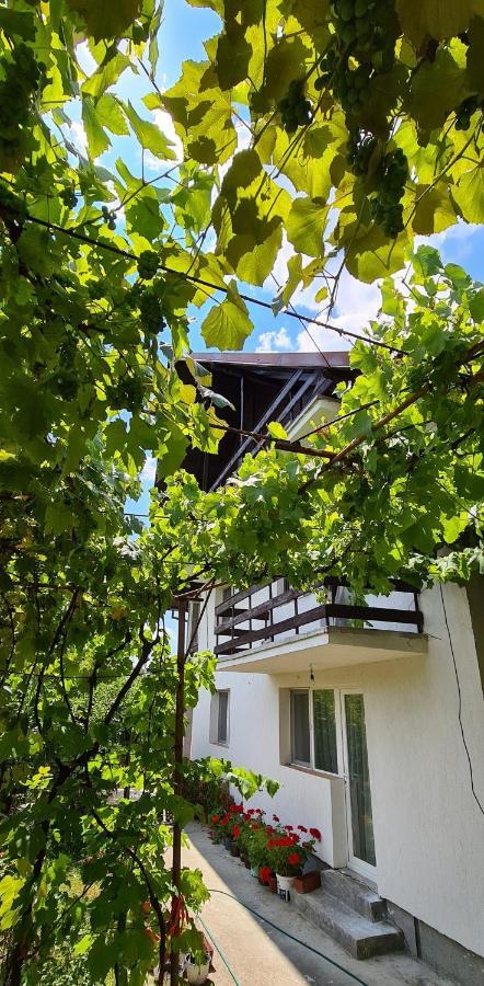 Cazare Vila Maria Apartment Curtea De Arges Luaran gambar