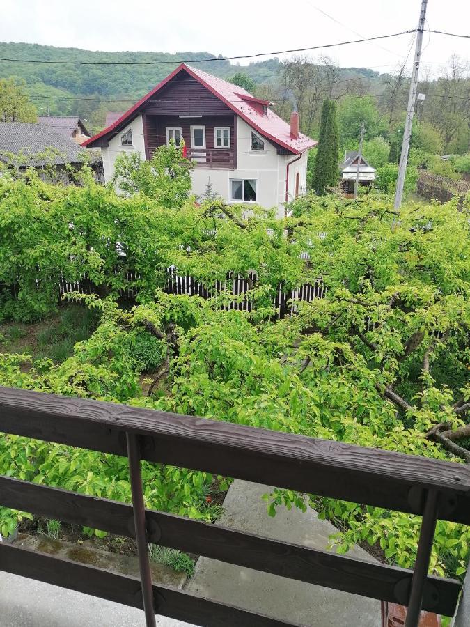 Cazare Vila Maria Apartment Curtea De Arges Luaran gambar