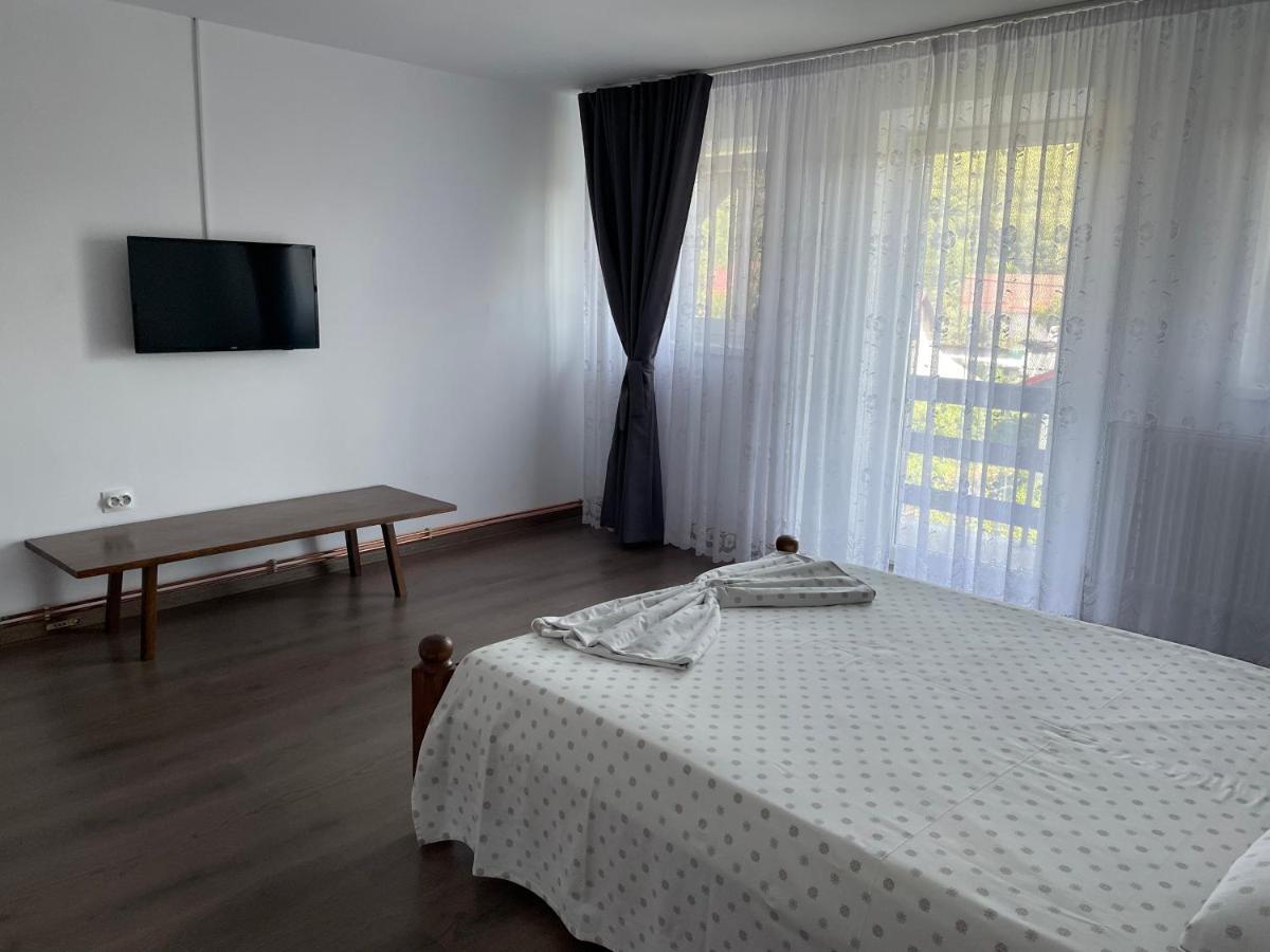 Cazare Vila Maria Apartment Curtea De Arges Luaran gambar