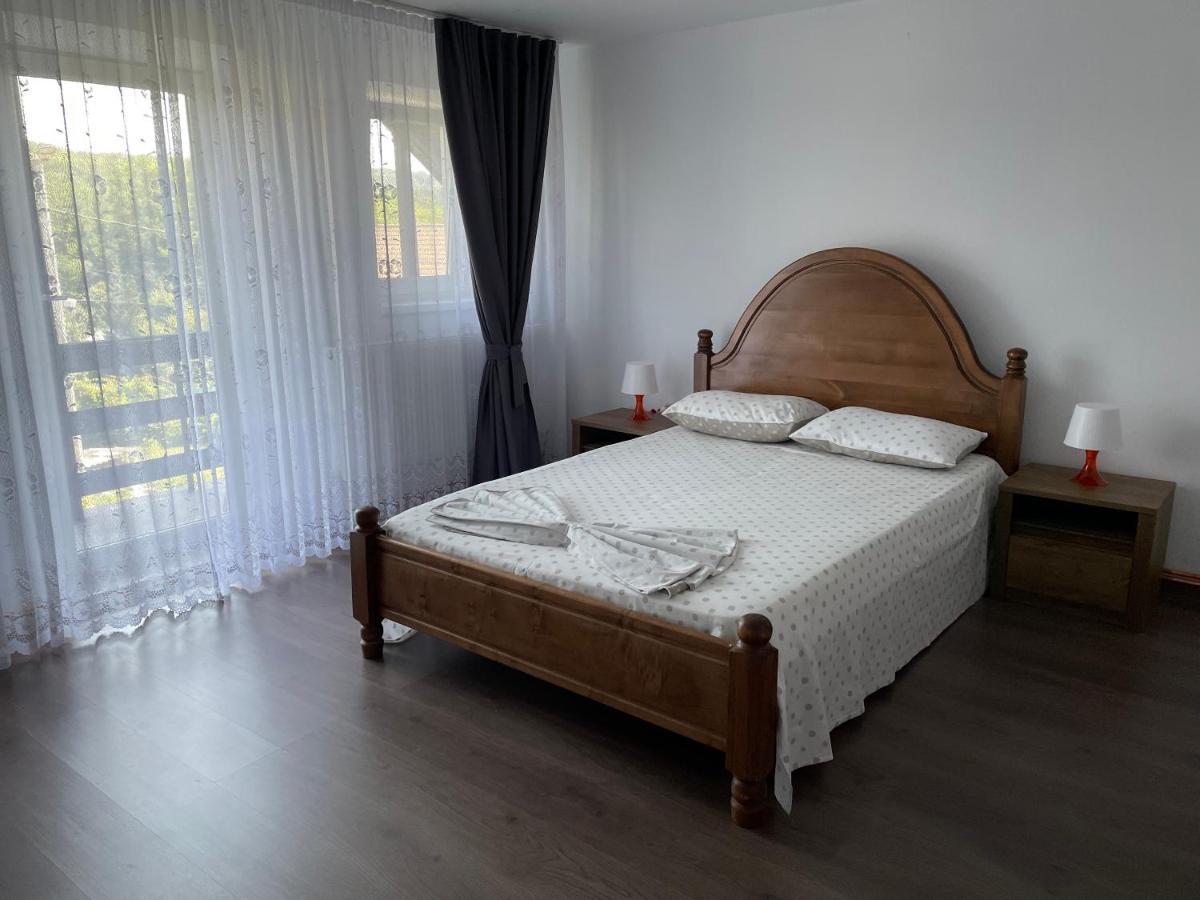 Cazare Vila Maria Apartment Curtea De Arges Luaran gambar