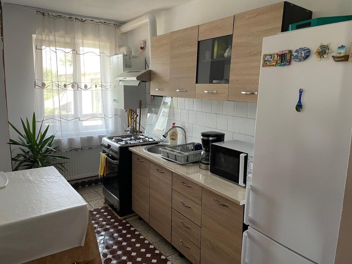 Cazare Vila Maria Apartment Curtea De Arges Luaran gambar