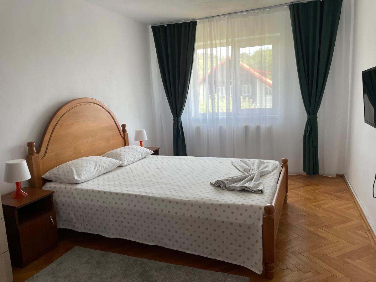 Cazare Vila Maria Apartment Curtea De Arges Luaran gambar