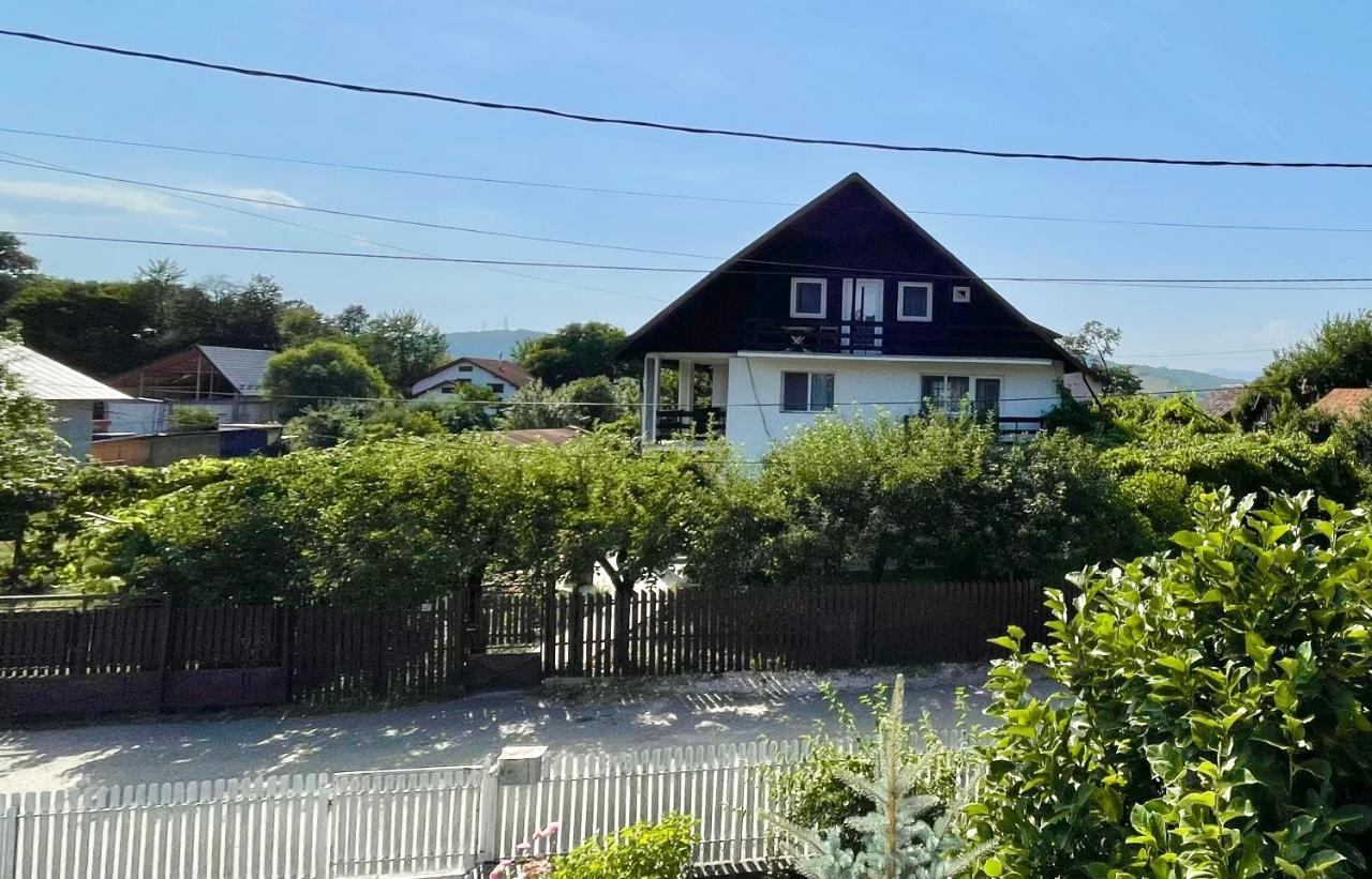 Cazare Vila Maria Apartment Curtea De Arges Luaran gambar